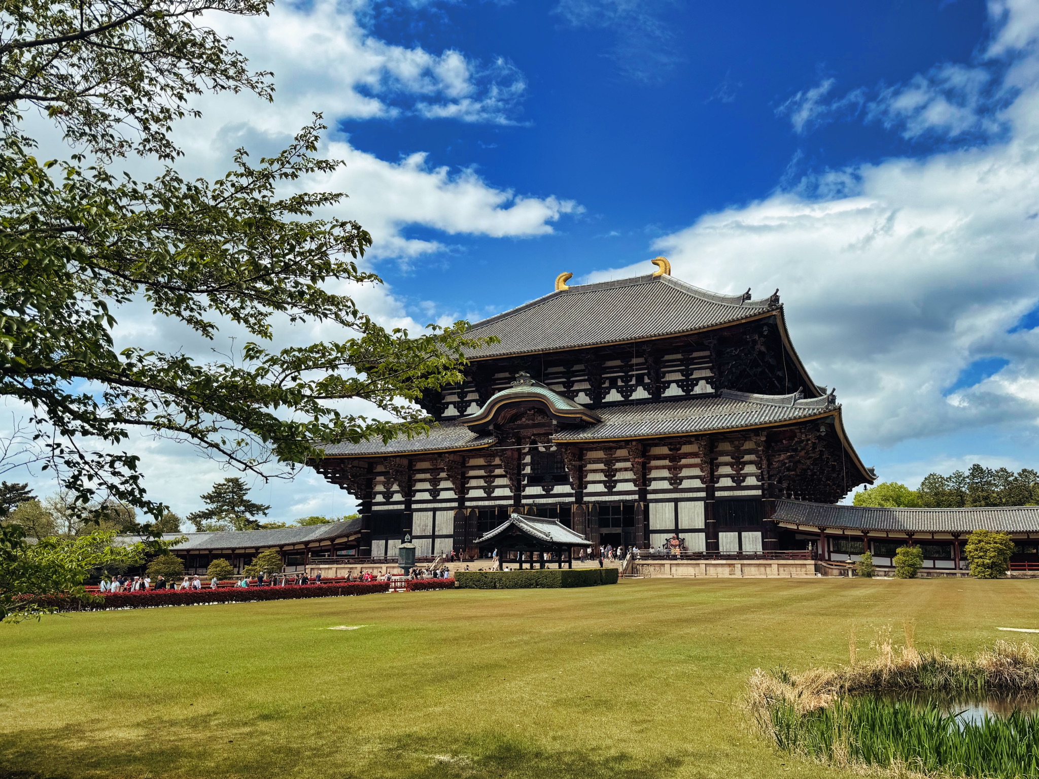 Buddah Temple